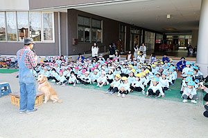 ふれあい動物園　たのしかったね　年中・ひよこ組