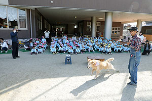 ふれあい動物園　たのしかったね　年中・ひよこ組