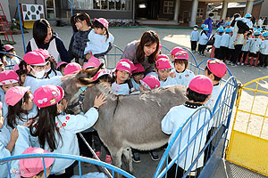 ふれあい動物園　たのしかったね　年中・ひよこ組