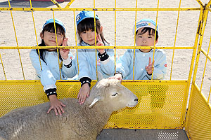 ふれあい動物園　たのしかったね　年長組