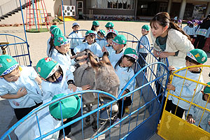 ふれあい動物園　たのしかったね　年長組