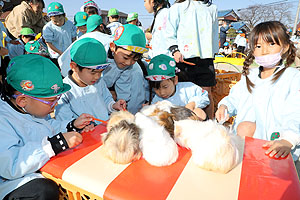 ふれあい動物園　たのしかったね　年長組