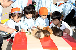 ふれあい動物園　たのしかったね　年長組