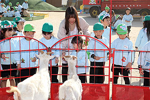 ふれあい動物園　たのしかったね　年長組