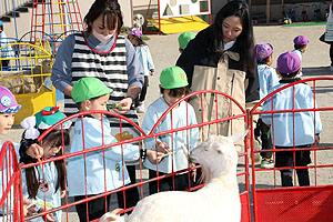 ふれあい動物園　たのしかったね　年長組