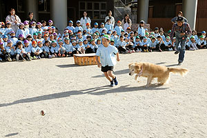 ふれあい動物園　たのしかったね　年長組