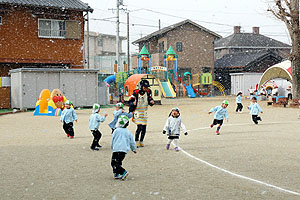 マラソン頑張っています！！　ことり