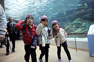お別れ遠足で名古屋港水族館に行きました　年長組  NO.2
