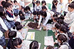 カブトムシの幼虫　大きくなぁれ　たんぽぽ・ひまわり