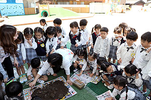 カブトムシの幼虫　大きくなぁれ　たんぽぽ・ひまわり