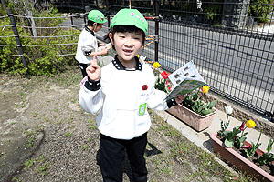 図鑑を持って園庭探検！　B