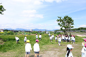 お散歩に出かけました　ひまわり・ばら・たんぽぽ