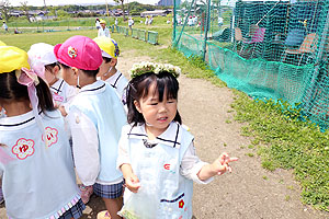 お散歩に出かけました　ひまわり・ばら・たんぽぽ