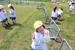 お散歩に出かけました　ひまわり・ばら・たんぽぽ