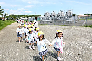 お散歩に出かけました　ひまわり・ばら・たんぽぽ