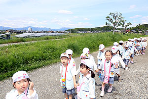 お散歩に出かけました　ひまわり・ばら・たんぽぽ