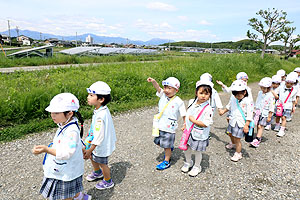 お散歩に出かけました　ひまわり・ばら・たんぽぽ