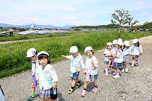 お散歩に出かけました　ひまわり・ばら・たんぽぽ