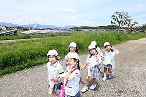 お散歩に出かけました　ひまわり・ばら・たんぽぽ