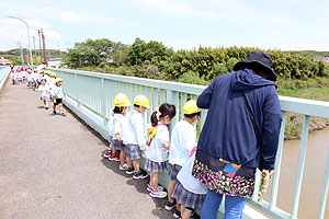 お散歩に出かけました　ひまわり・ばら・たんぽぽ