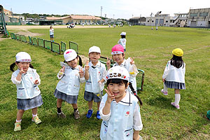 お散歩に出かけました　ひまわり・ばら・たんぽぽ