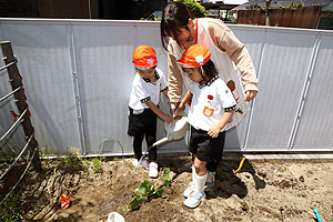 エンゼル畑に野菜の苗を植えました　年長組