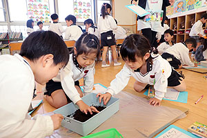 カブトムシの幼虫の観察をしました　B