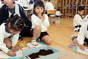 カブトムシの幼虫の観察をしました　B