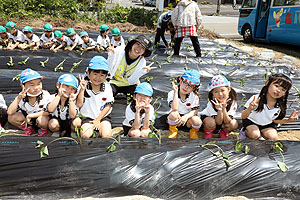 エンゼル自然体験農園で芋苗植え　年長　NO.2