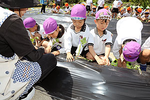 エンゼル自然体験農園で芋苗植え　年長　NO.2