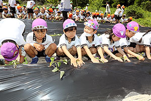 エンゼル自然体験農園で芋苗植え　年長　NO.2