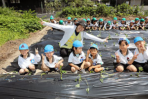 エンゼル自然体験農園で芋苗植え　年長　NO.2