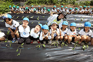 エンゼル自然体験農園で芋苗植え　年長　NO.2