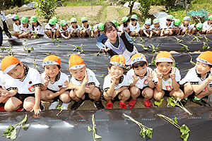 エンゼル自然体験農園で芋苗植え　年長　NO.1