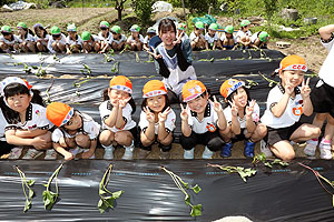 エンゼル自然体験農園で芋苗植え　年長　NO.1