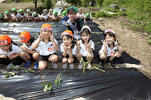 エンゼル自然体験農園で芋苗植え　年長　NO.1