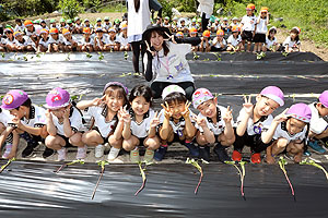 エンゼル自然体験農園で芋苗植え　年長　NO.1