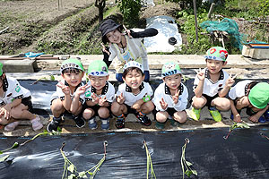 エンゼル自然体験農園で芋苗植え　年長　NO.1