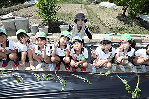 エンゼル自然体験農園で芋苗植え　年長　NO.1