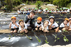 エンゼル自然体験農園で芋苗植え　年長　NO.1