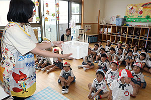 カタツムリの観察　りす・ひまわり