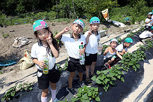 お芋の水やりに出かけました　年長組