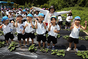 お芋の水やりに出かけました　年長組