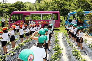 お芋の水やりに出かけました　年長組