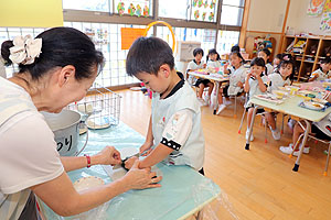 年長組さんが育てたきゅうりいただきます　ひまわり