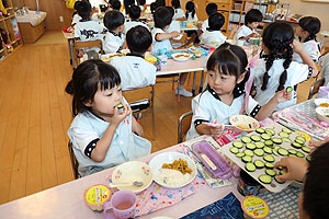 年長組さんが育てたきゅうりいただきます　ひまわり