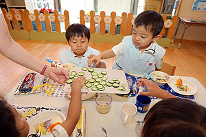 年長組さんが育てたきゅうりいただきます　うさぎ・りす・ことり・こあら