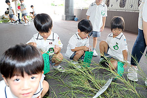 短冊に願いを込めて　年長組