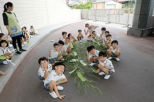 短冊に願いを込めて　年長組