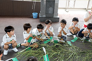 短冊に願いを込めて　年長組